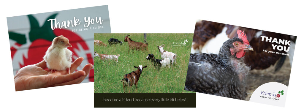 three postcards for Friends of Great Kids Farm