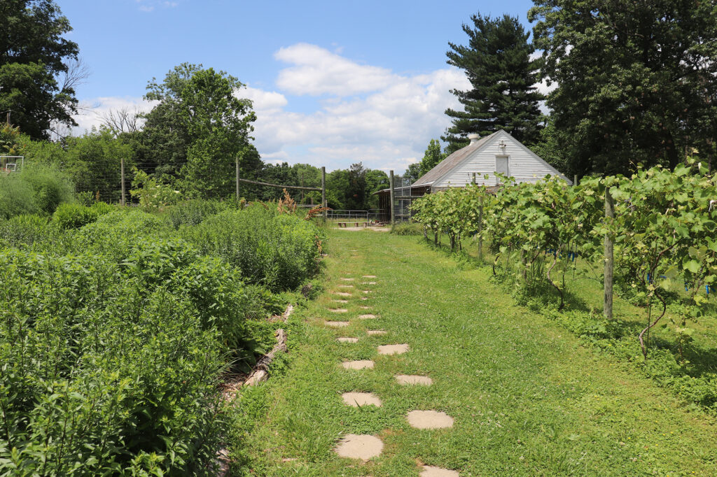 Garden path