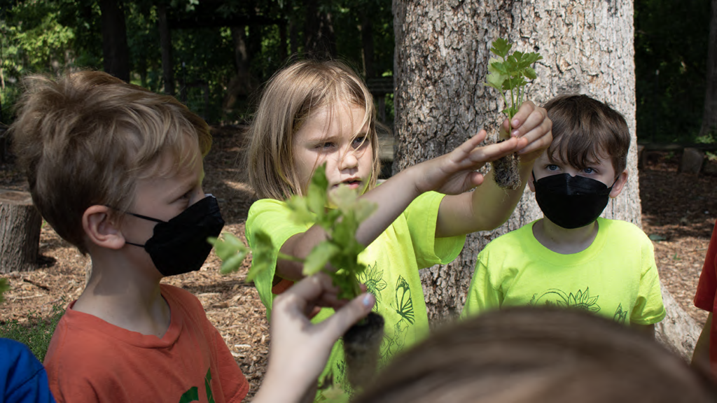Children in the garden